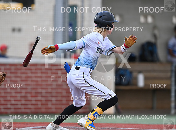 DLS_0991