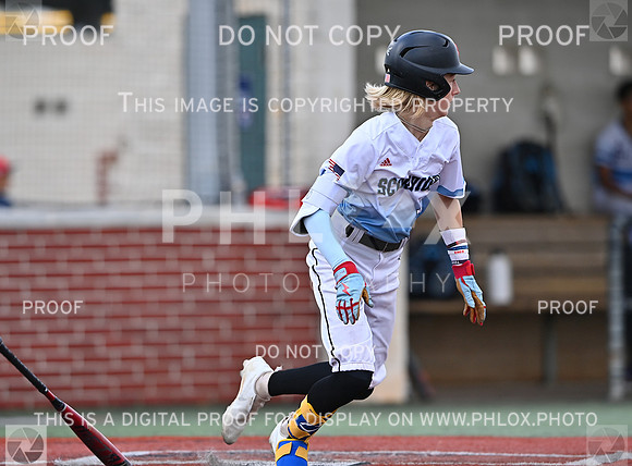 DLS_0993