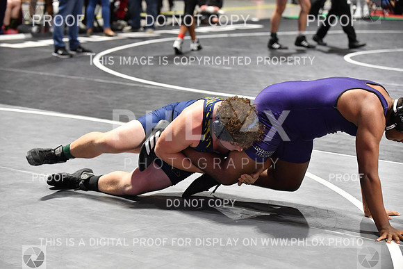 RAY_1177