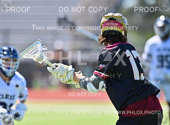 DLS_8440