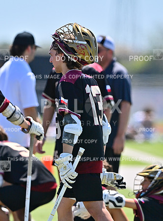 DLS_8199