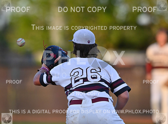 DLS_0047