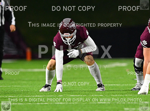 DLS_7823-2