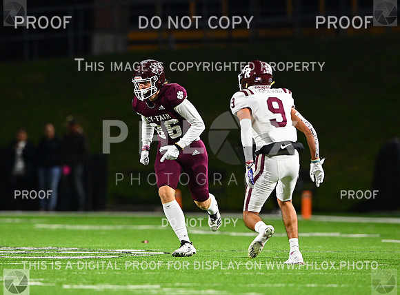 DLS_8564