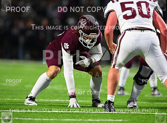 DLS_8754