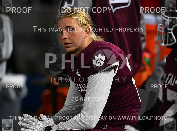 DLS_8414
