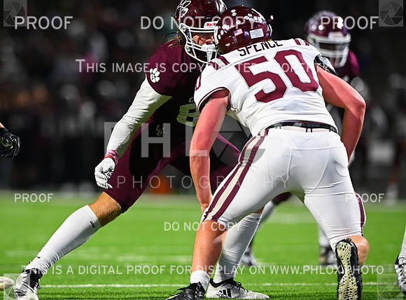 DLS_8756