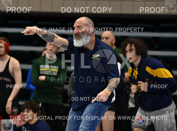DLS_1677