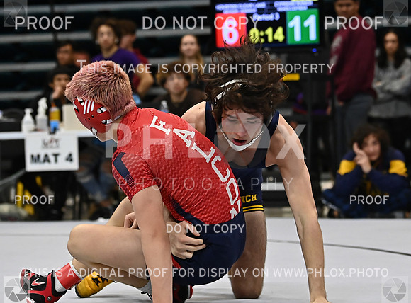 DLS_1772