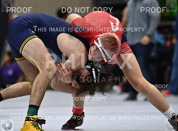 DLS_1721