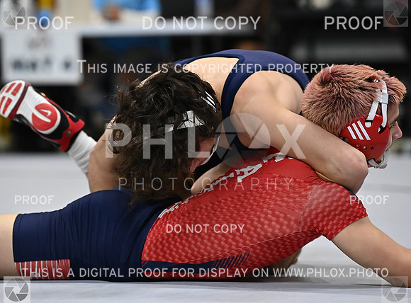 DLS_1769