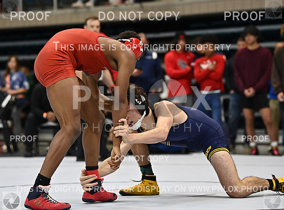 DLS_3374