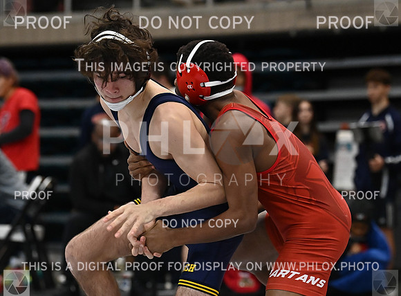 DLS_3274