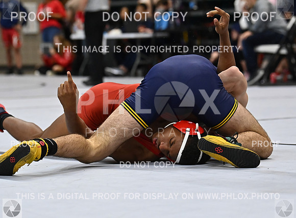 DLS_3329