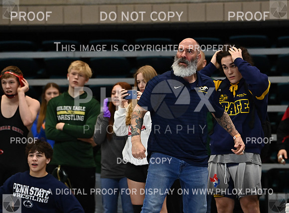 DLS_1702