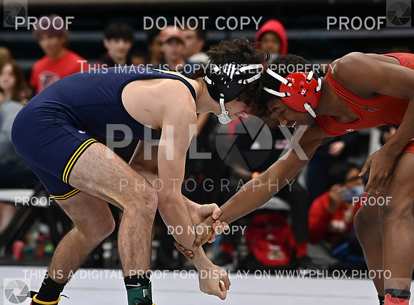 DLS_3269