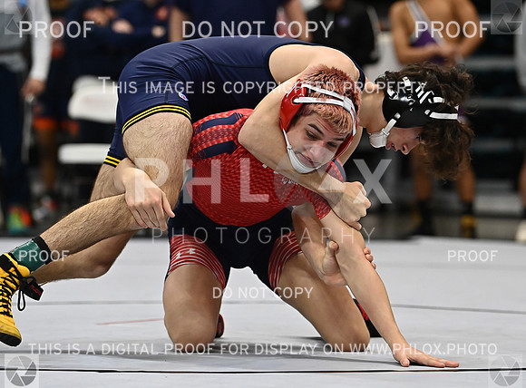 DLS_1705