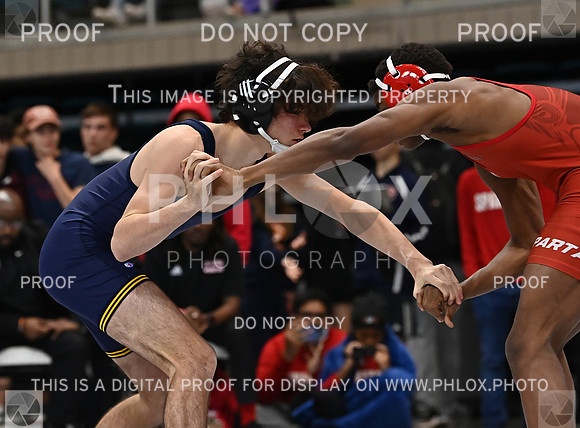 DLS_3268