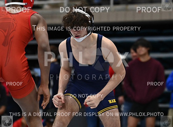 DLS_3288