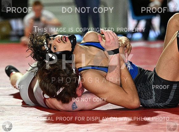 DLS_8070