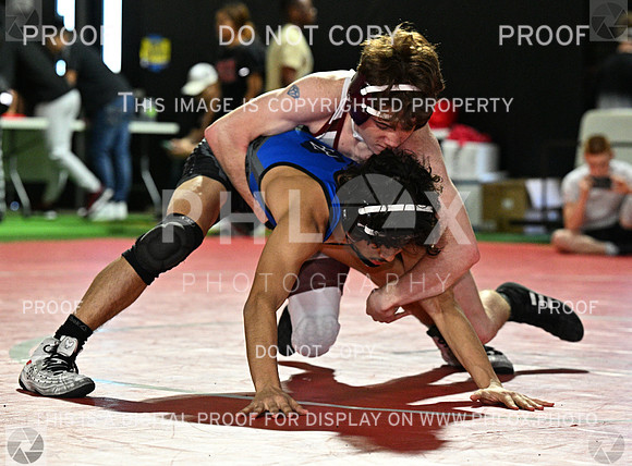 DLS_8050