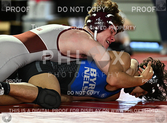 DLS_8069