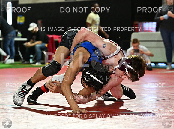 DLS_8052