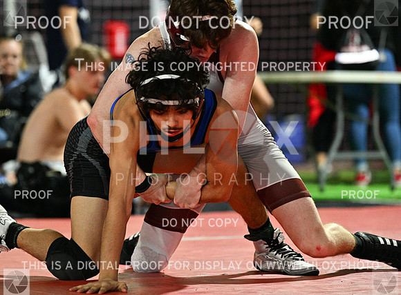 DLS_8067
