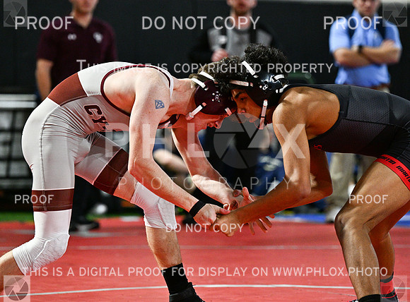 DLS_7166