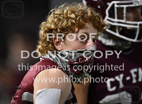 DLS_8697