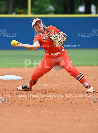 DLS_7714