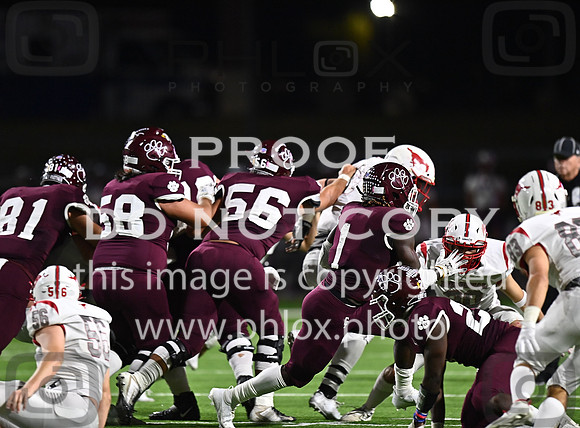 DLS_8162