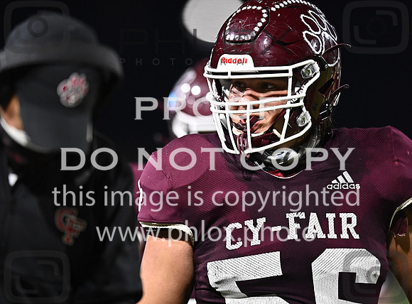 DLS_8627