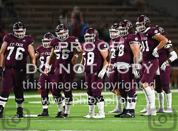 DLS_7752