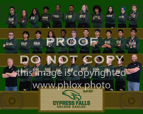 CyFalls2021Team