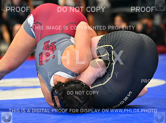 DLS_0013