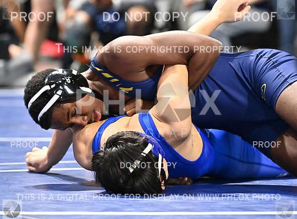 DLS_8964