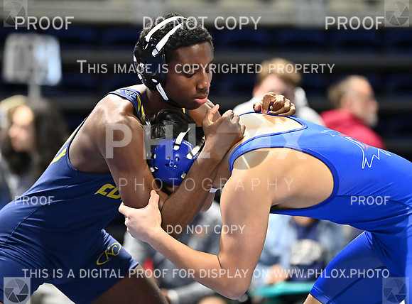 DLS_8939