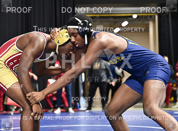 DLS_8697