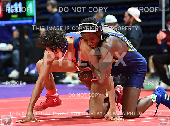 DLS_9397