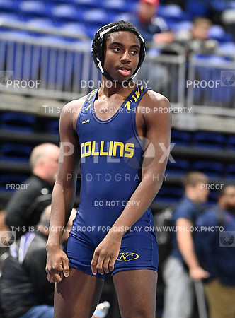 DLS_8951
