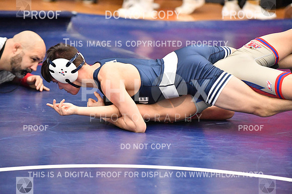 RAY_0043