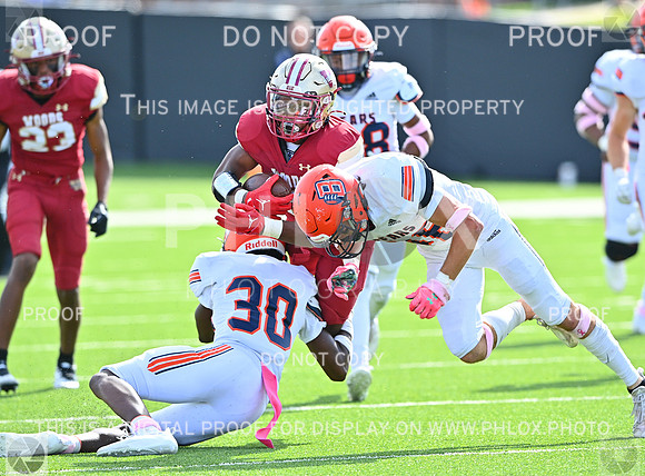 DLS_0087