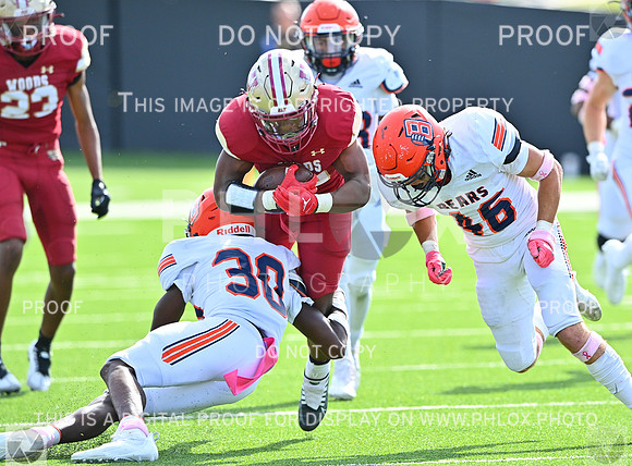 DLS_0086