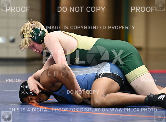 DLS_0907