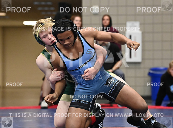 DLS_0906
