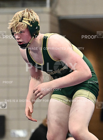 DLS_0976