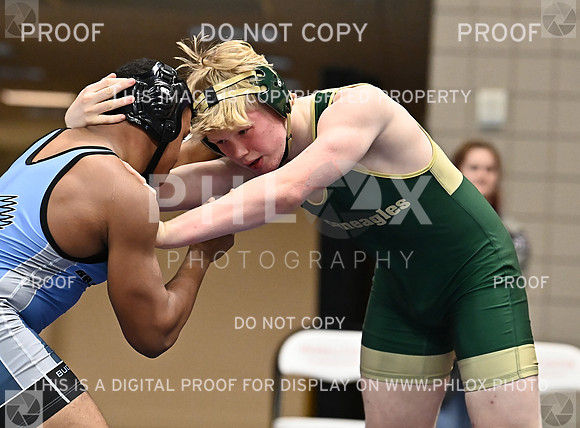 DLS_0868