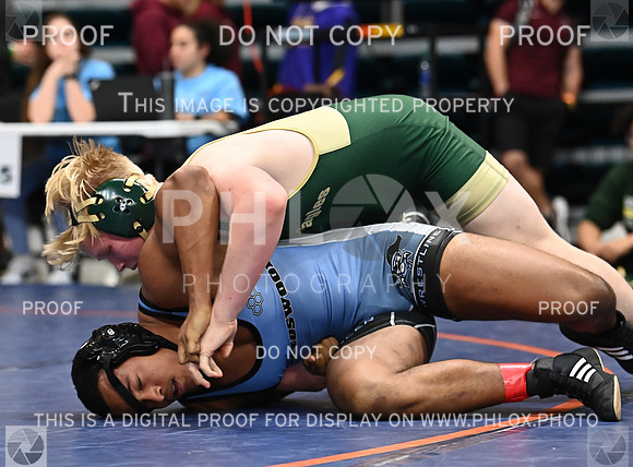DLS_0932