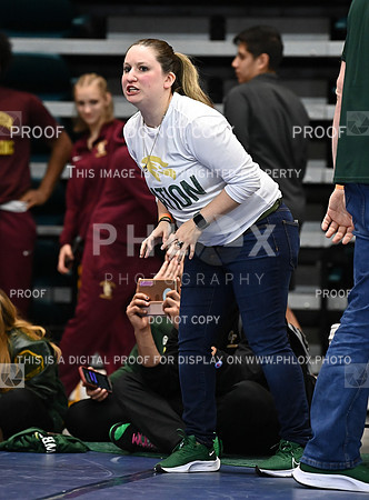 DLS_0971